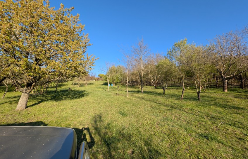 Esztergom Eladó Telek