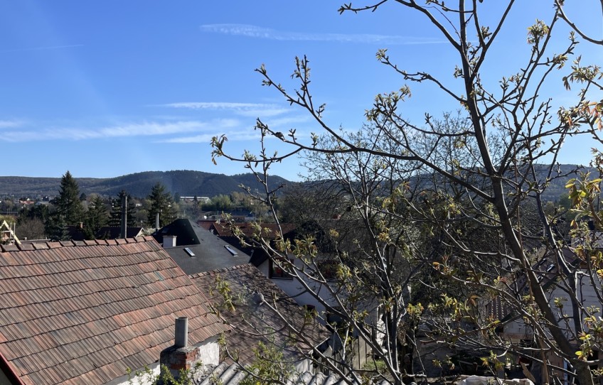 Pilisvörösvár Eladó Ház