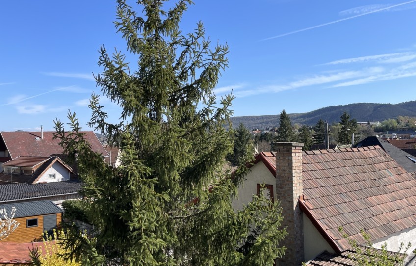 Pilisvörösvár Eladó Ház